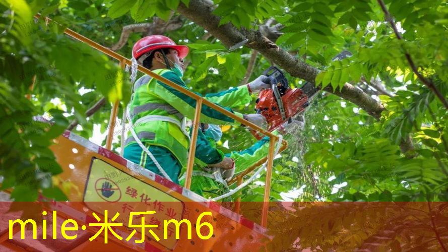 mile·米乐m6：乒乓球台面中线