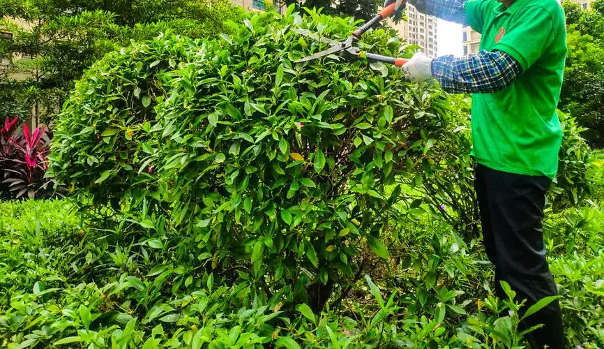 mile·米乐m6：父母与孩子一起畅快玩耍，尽享室外滑梯踏脚娱乐