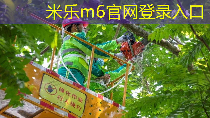 网球拍选购硬度不够怎么调