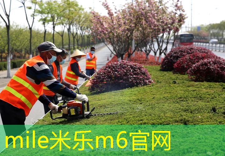 家用乒乓球台面厚度